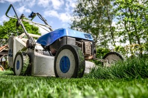 Garden Maintenance | Grounds Maintenance | Grass Cutting | Lawn Mowing