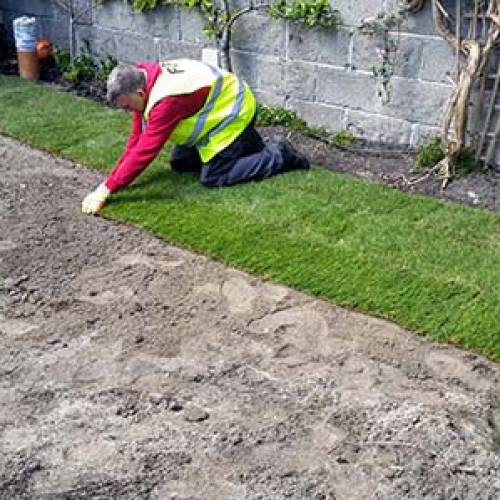 Laying Roll Out Lawn