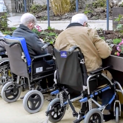 Wheelchair Accessible Planter