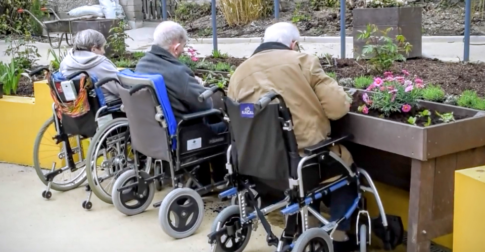 Wheelchair Accessible Planter