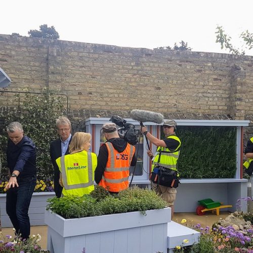 Dementia Friendly Garden at Bloom 2017