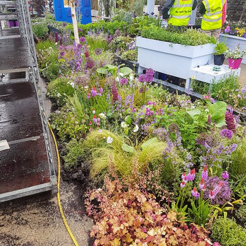 Dementia Friendly Garden at Bloom 2017